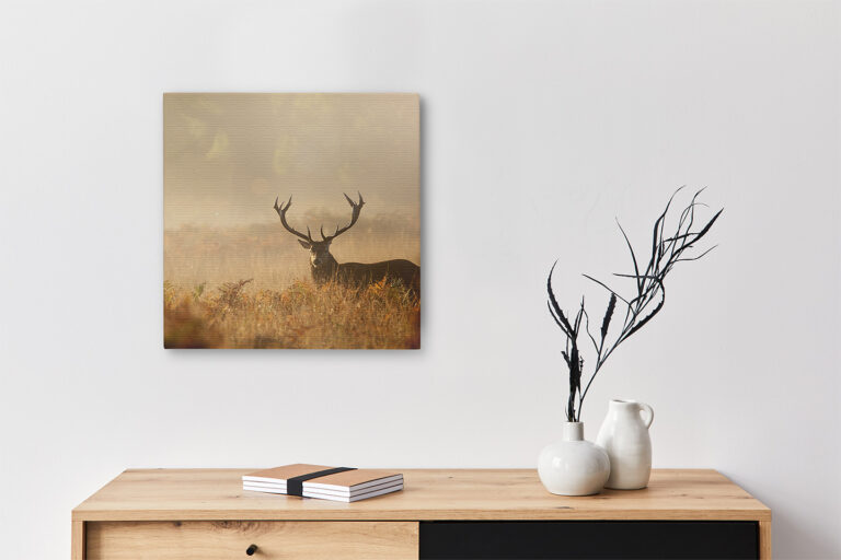 Keilrahmenbild Hirsch Herbst