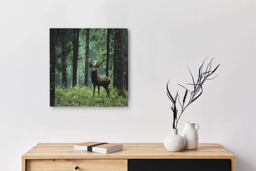 Keilrahmenbild_Hirsch-Wald