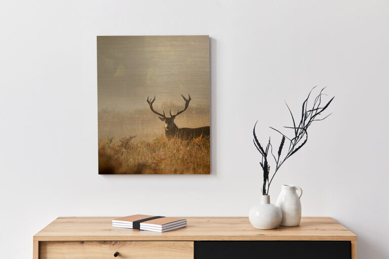 Metallbild Hirsch Herbst