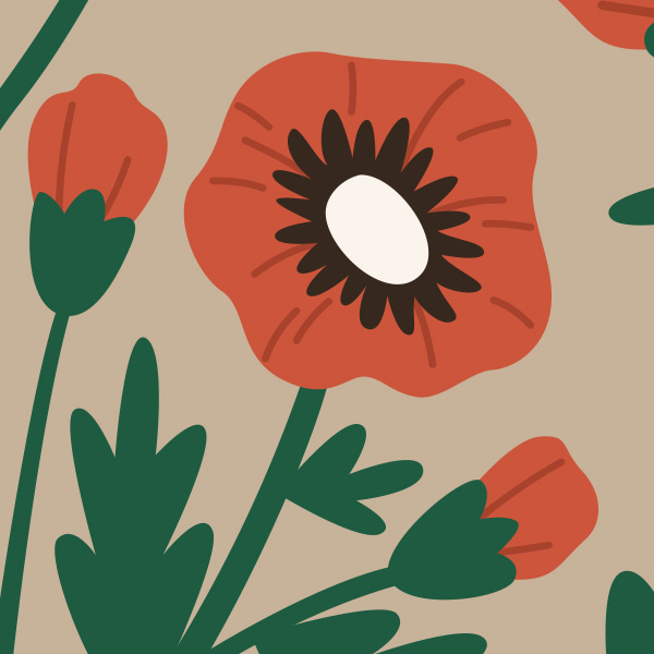 Detail Muster Mohnblume
