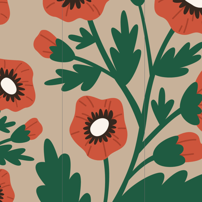 Tapete Mohnblume