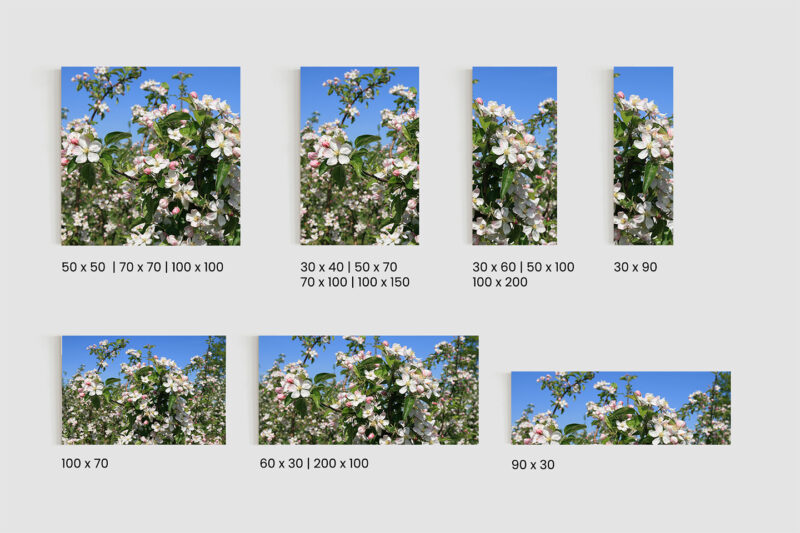 Glasbild Kirschblüte