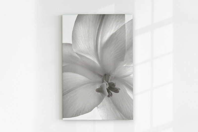 Glasbild Lilie