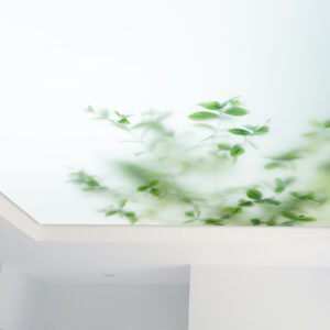 Detail_Lichtdecke_milchglas_pflanzen