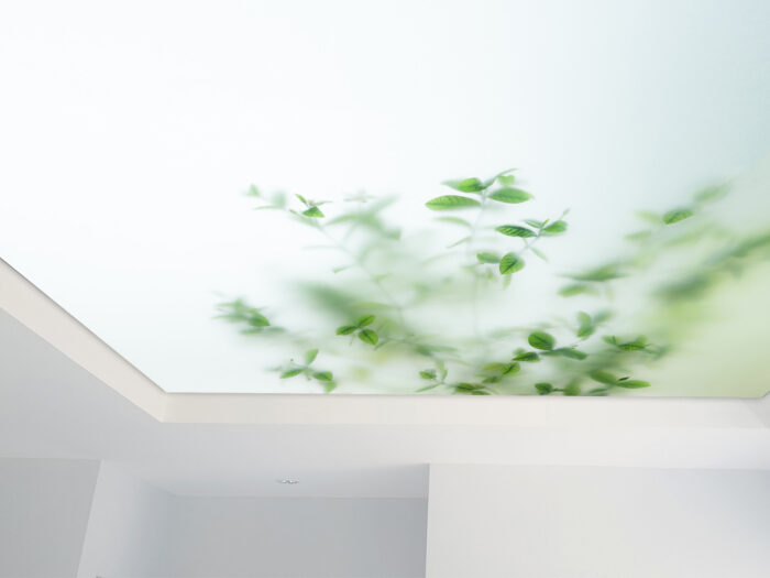 Detail_Lichtdecke_milchglas_pflanzen