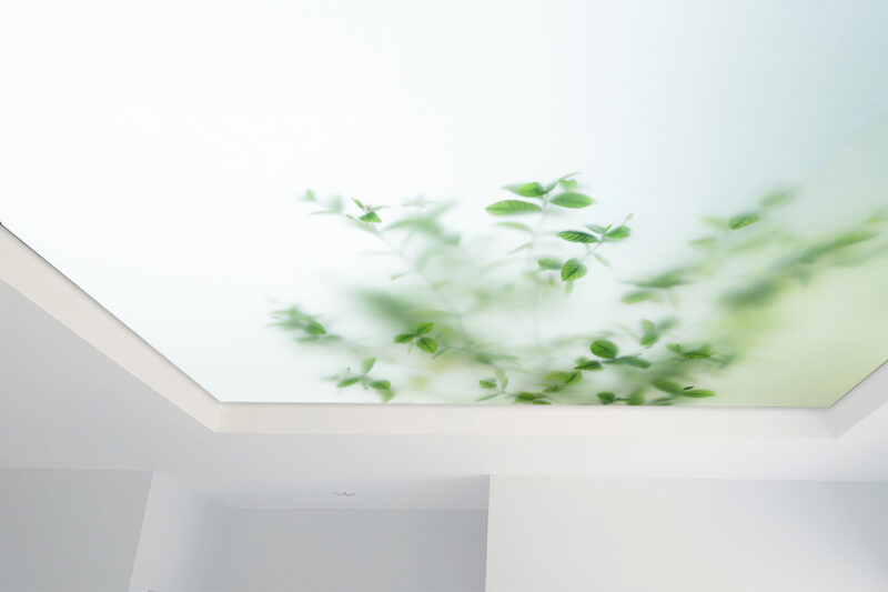 Detail_Lichtdecke_milchglas_pflanzen