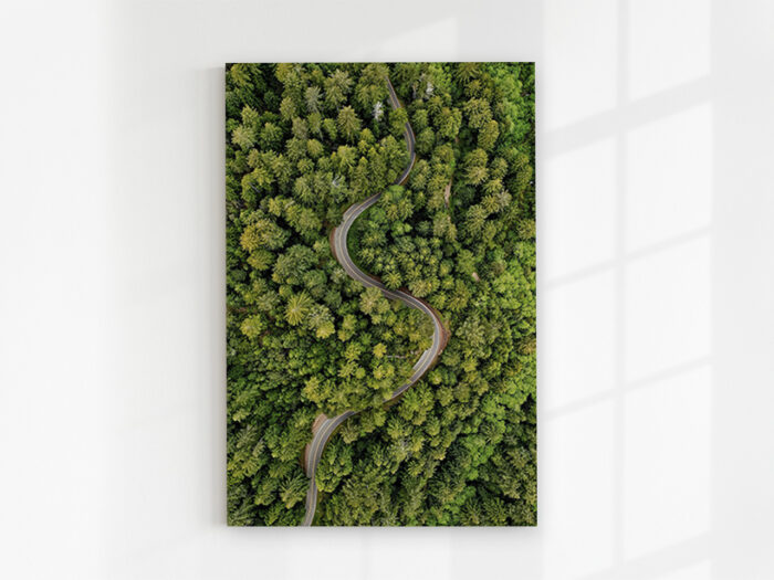 Glasbild_Waldstraße
