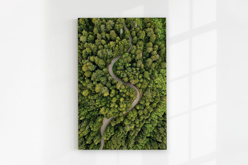 Glasbild_Waldstraße