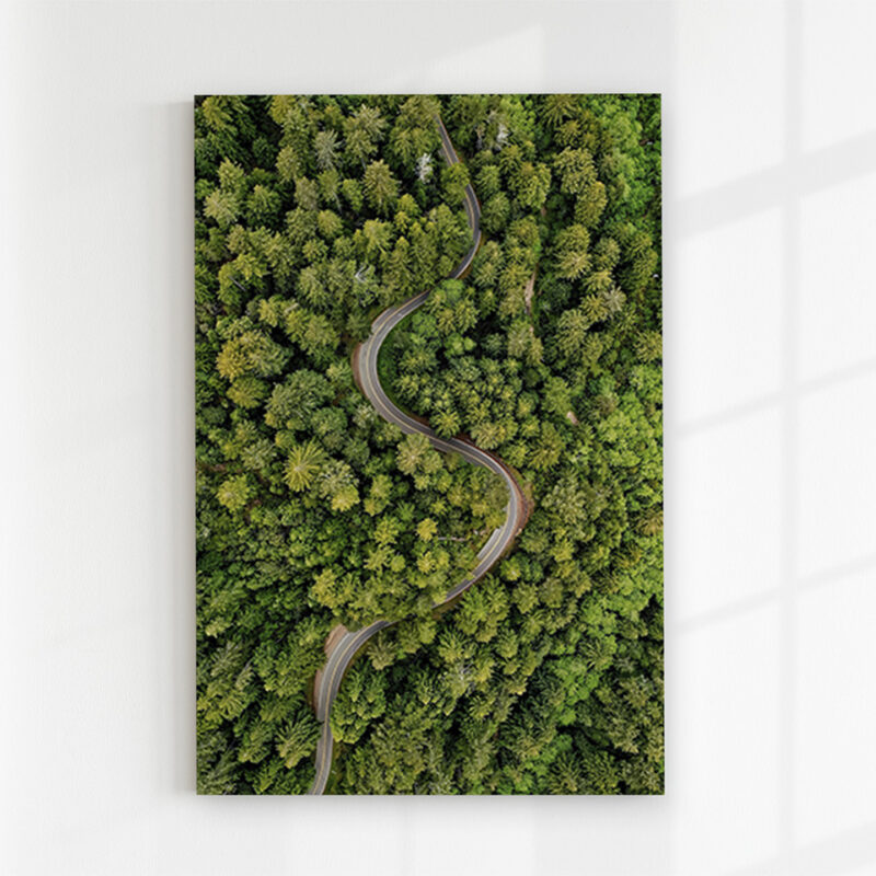 Glasbild_Waldstraße