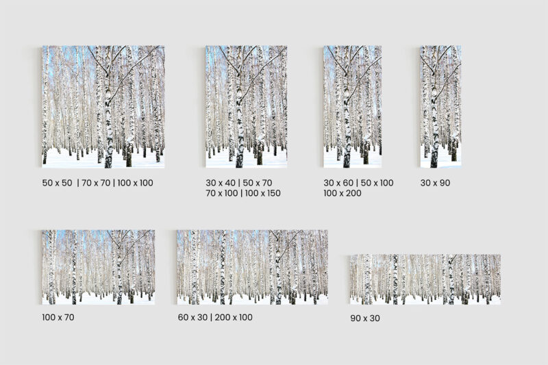 Glasbild_Birke-im-Schnee_Größen Glasbild Birke im Schnee