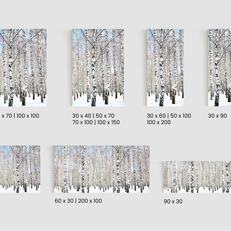 Glasbild_Birke-im-Schnee_Größen Glasbild Birke im Schnee