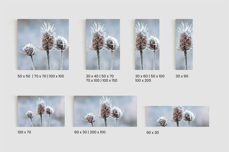 Glasbild_Eisblume_Größen Glasbild Eisblume