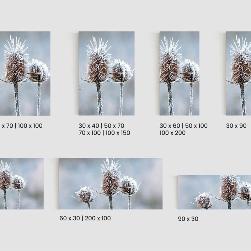 Glasbild_Eisblume_Größen Glasbild Eisblume