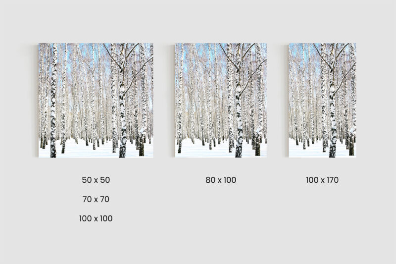 Größen_Metallbild_Birke-im-Schnee Metallbild Birke im Schnee
