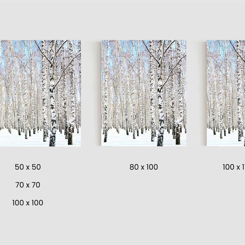 Größen_Metallbild_Birke-im-Schnee Metallbild Birke im Schnee