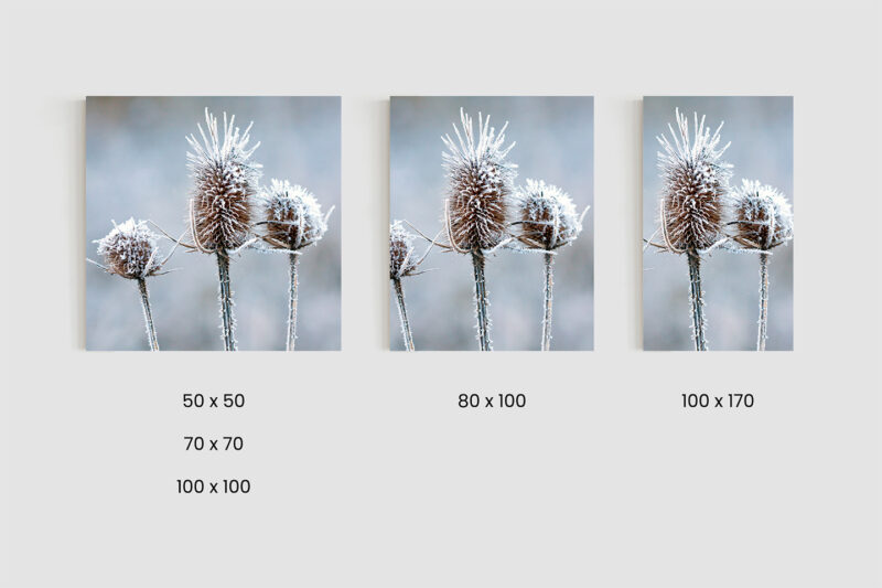 Größen_Metallbild_Eisblume Metallbild Eisblume