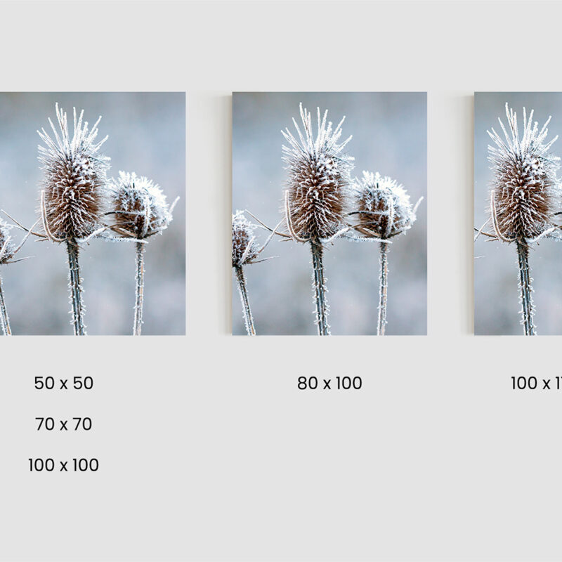 Größen_Metallbild_Eisblume Metallbild Eisblume