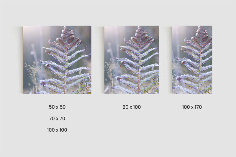 Größen_Metallbild_Eisfarn Metallbild Eisfarn