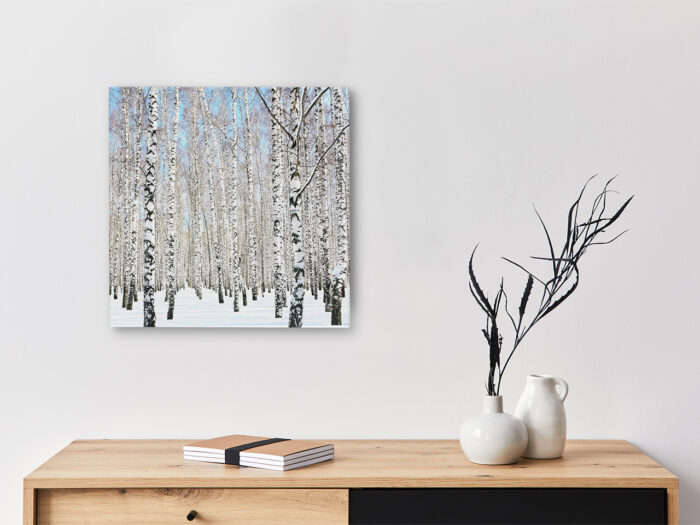 Keilrahmenbild_Birke-im-Schnee Keilrahmenbild Birke im Schnee