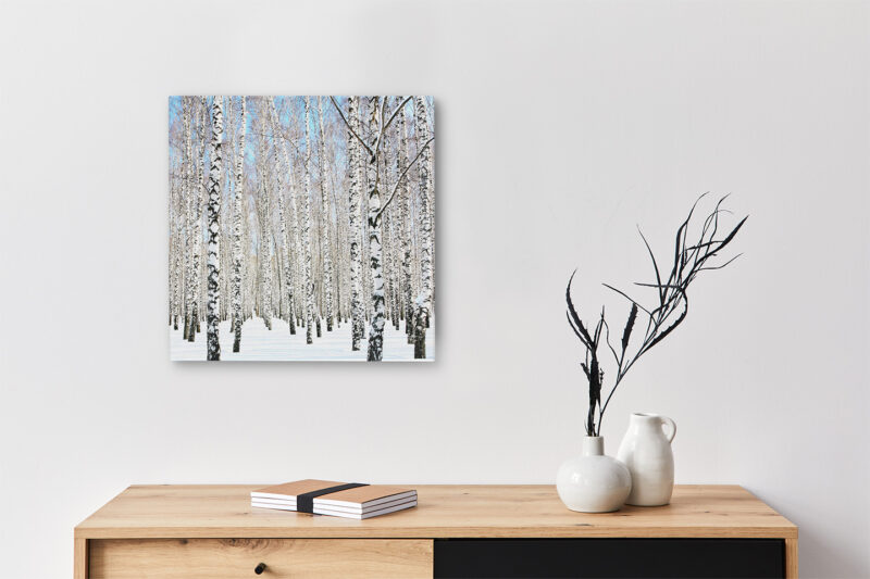 Keilrahmenbild Birke im Schnee