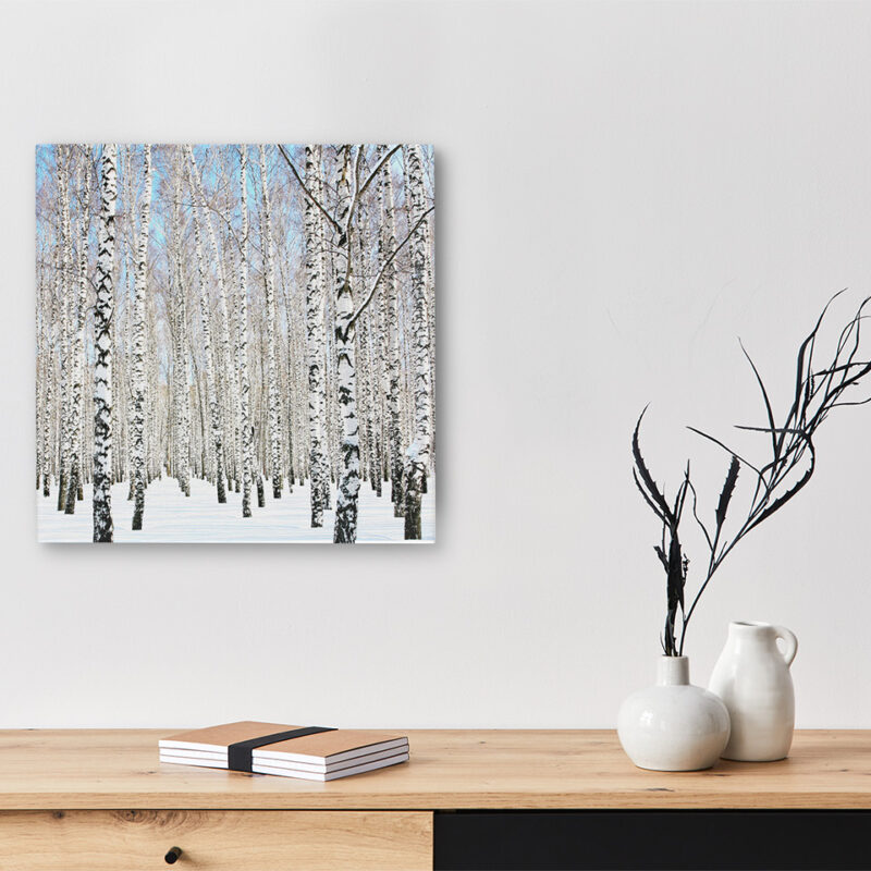 Keilrahmenbild Birke im Schnee