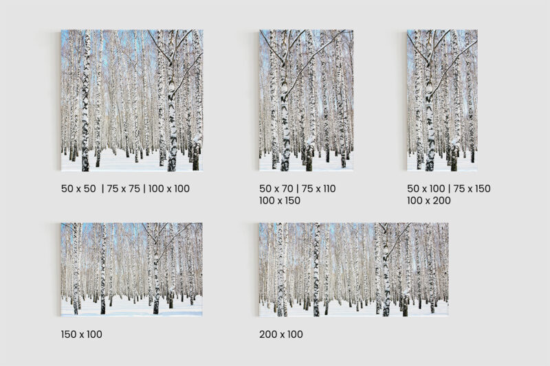 Keilrahmenbild Birke im Schnee