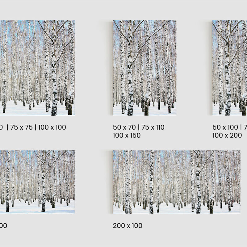 Keilrahmenbild Birke im Schnee