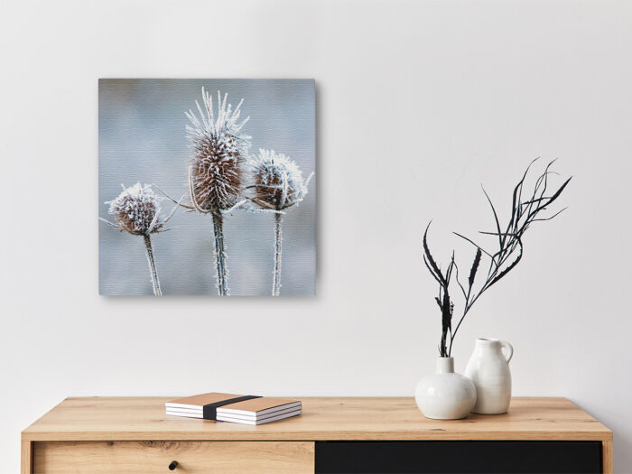 Keilrahmenbild_Eisblume Keilrahmenbild Eisblume