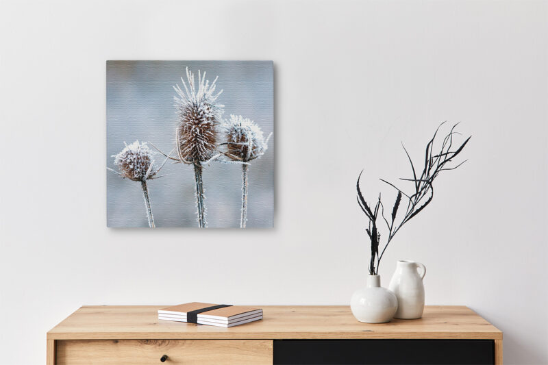 Keilrahmenbild_Eisblume Keilrahmenbild Eisblume