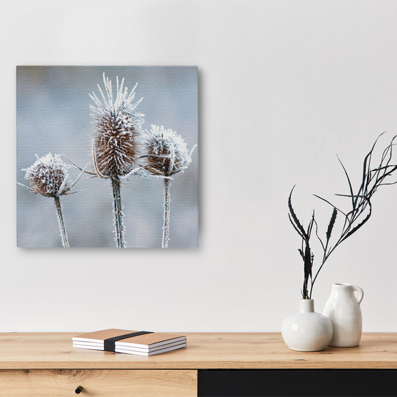 Keilrahmenbild_Eisblume Keilrahmenbild Eisblume