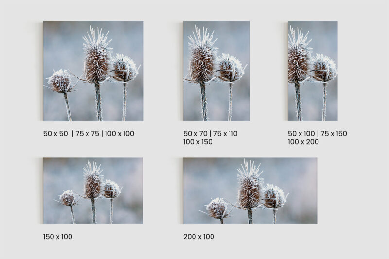 Keilrahmenbild_Eisblume_Größen Keilrahmenbild Eisblume