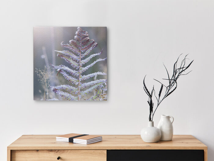 Keilrahmenbild_Eisfarn Keilrahmenbild Eisfarn