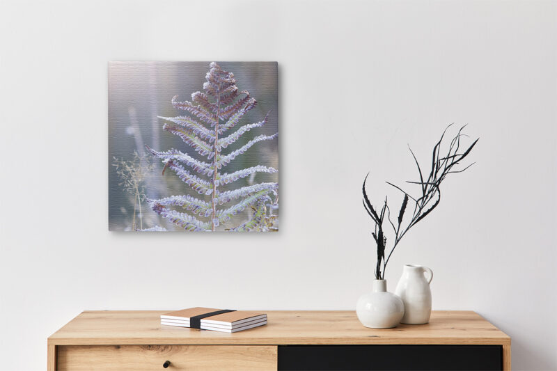 Keilrahmenbild_Eisfarn Keilrahmenbild Eisfarn