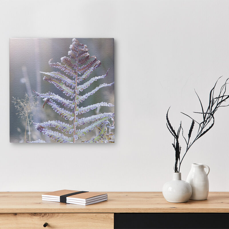 Keilrahmenbild_Eisfarn Keilrahmenbild Eisfarn