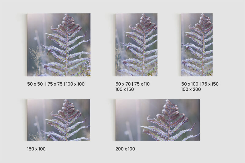 Keilrahmenbild_Eisfarn_Größen Keilrahmenbild Eisfarn