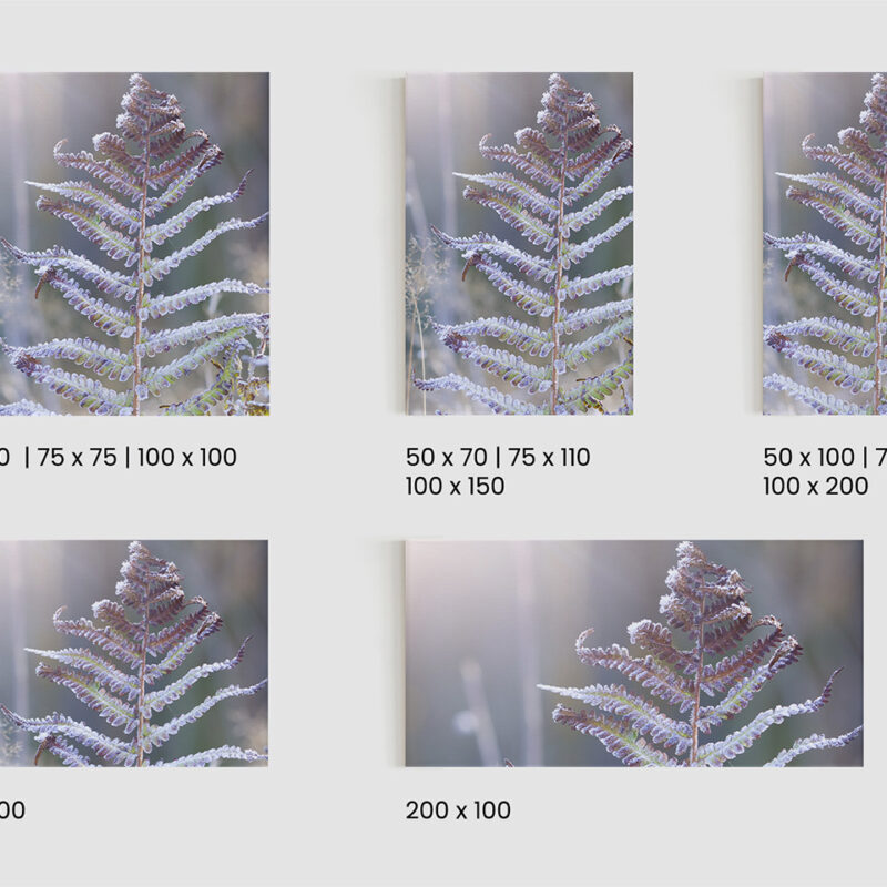 Keilrahmenbild_Eisfarn_Größen Keilrahmenbild Eisfarn