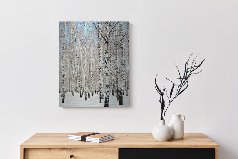 Metallbild_Birke-im-Schnee_gebürstet Metallbild Birke im Schnee