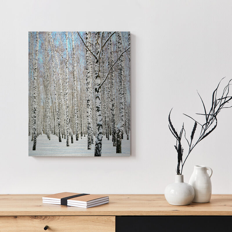 Metallbild_Birke-im-Schnee_gebürstet Metallbild Birke im Schnee