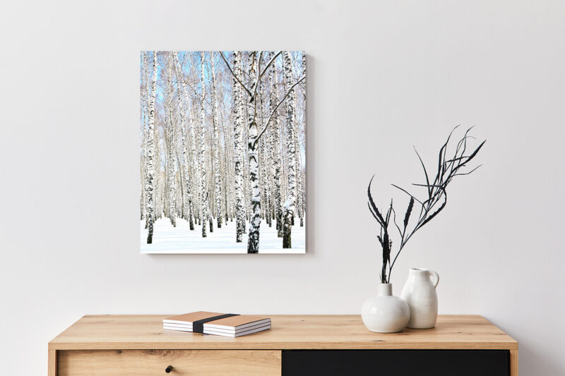 Metallbild_Birke-im-Schnee_weiß Metallbild Birke im Schnee