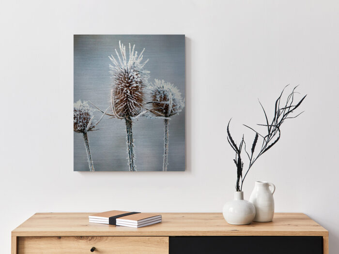 Metallbild_Eisblume_gebürstet Metallbild Eisblume