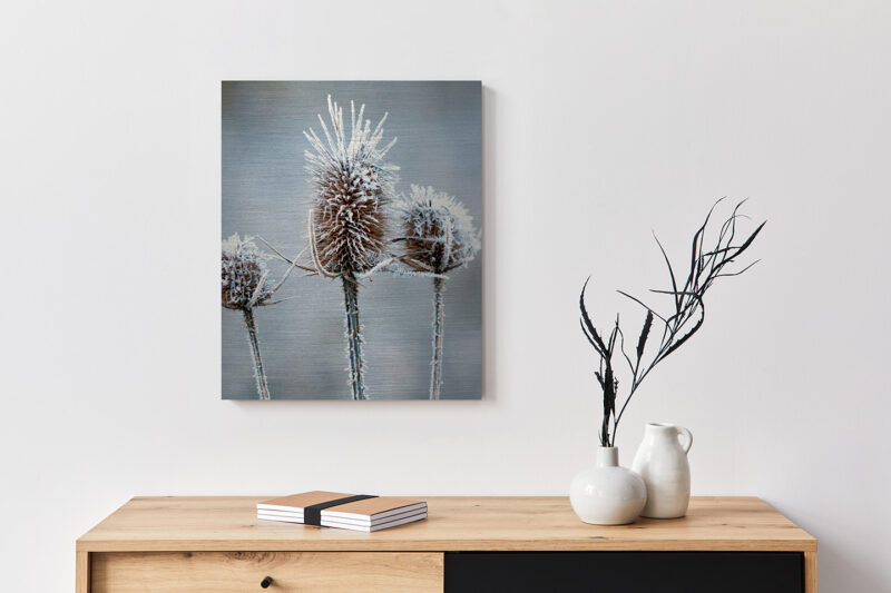 Metallbild_Eisblume_gebürstet Metallbild Eisblume