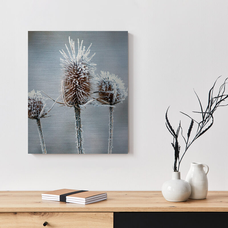 Metallbild_Eisblume_gebürstet Metallbild Eisblume