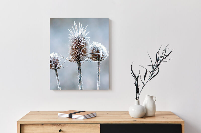 Metallbild_Eisblume_weiß Metallbild Eisblume