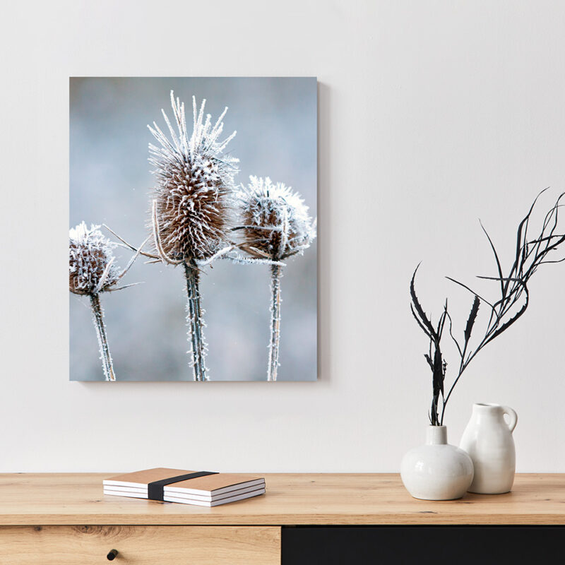 Metallbild_Eisblume_weiß Metallbild Eisblume