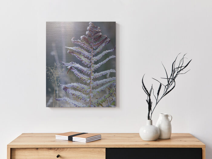 Metallbild_Eisfarn_gebürstet Metallbild Eisfarn