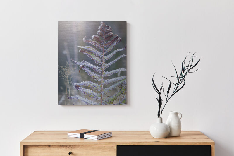 Metallbild_Eisfarn_gebürstet Metallbild Eisfarn