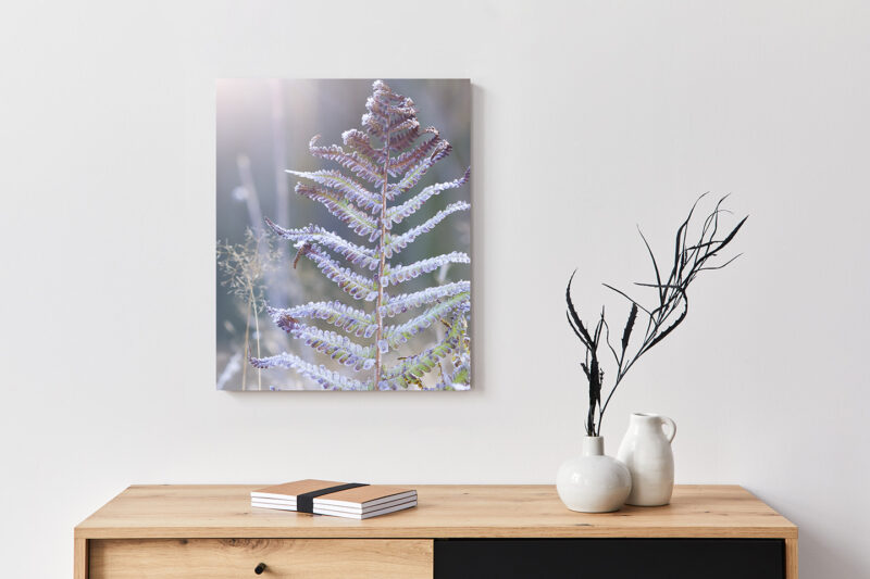 Metallbild_Eisfarn_weiß Metallbild Eisfarn