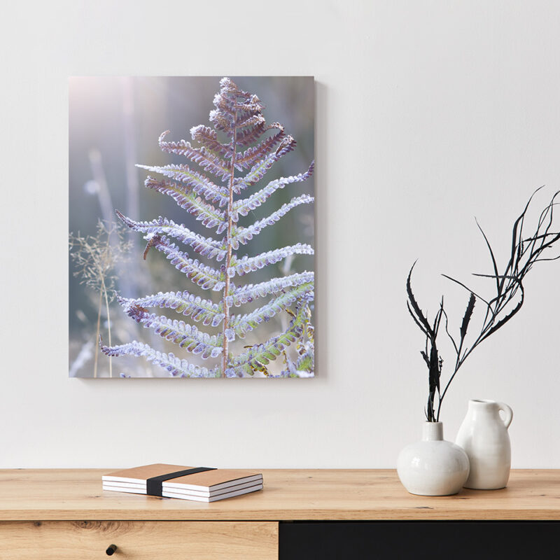 Metallbild_Eisfarn_weiß Metallbild Eisfarn