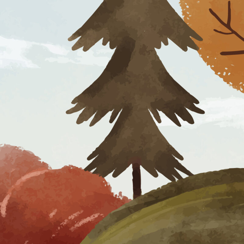 Kindertapete bunter Wald