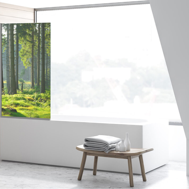 Duschtrennwand für Badewannen Lichtwald